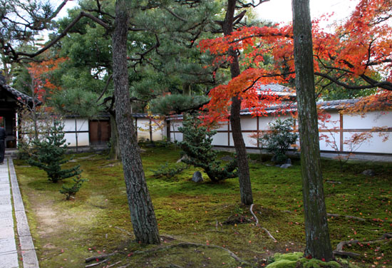 紅葉だより58 建仁寺 西来院_e0048413_21573028.jpg
