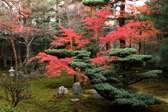 紅葉だより58 建仁寺 西来院_e0048413_215855.jpg