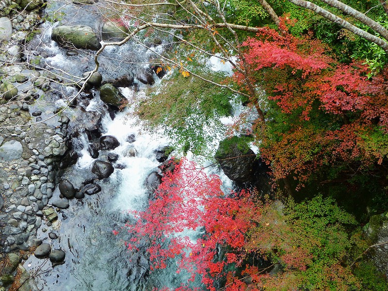f0182513_2335581.jpg