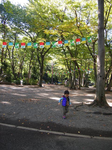 a0151615_1904236.jpg