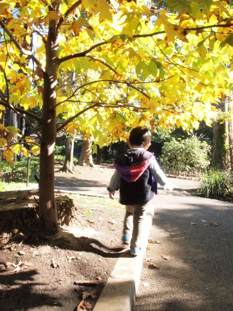 a0151615_19111573.jpg