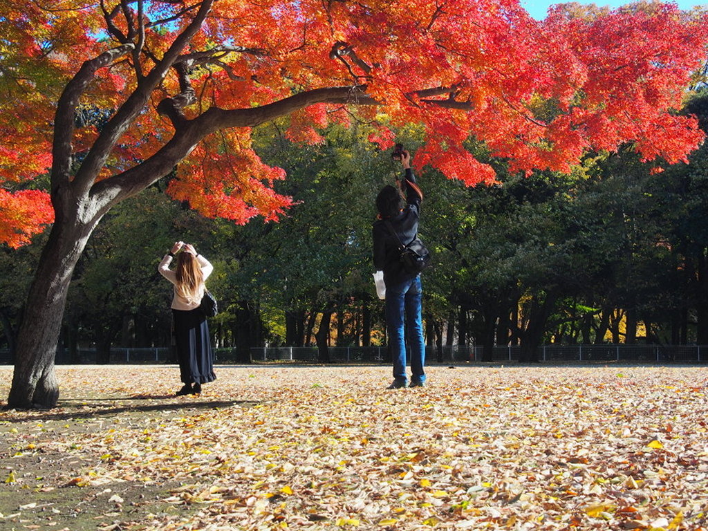 砧公園_d0192516_10545966.jpg