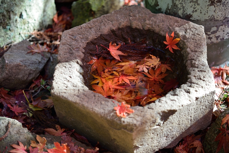 大山寺　♯2_a0190918_23563947.jpg