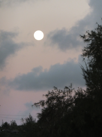 f0227218_21415823.png