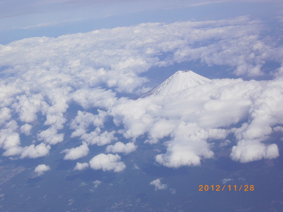 講習会の巻_a0197623_17554356.jpg