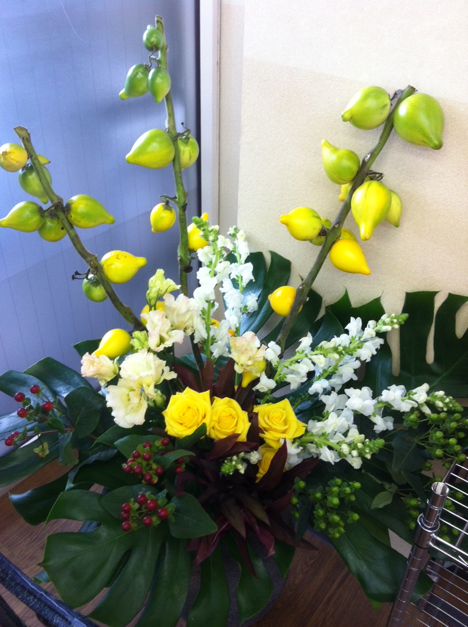 今週のお花とセール情報_a0200423_19595532.jpg