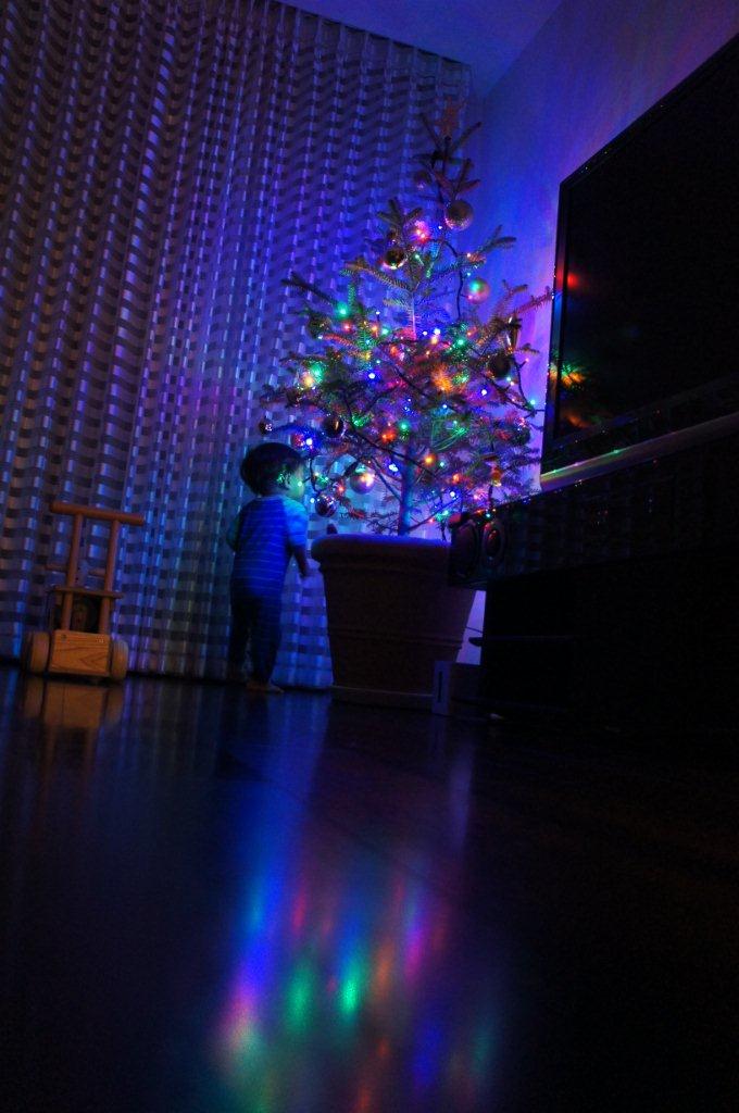 クリスマス支度開始~!_e0253026_8573815.jpg
