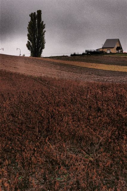 e0044929_1642525.jpg