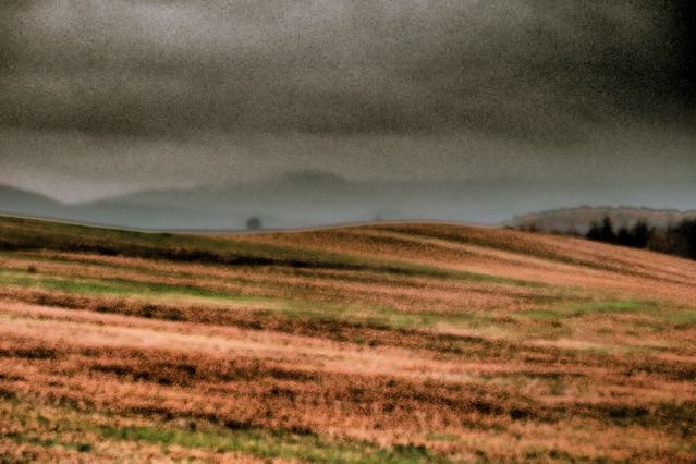 e0044929_168918.jpg