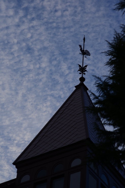 d0046930_11012.jpg