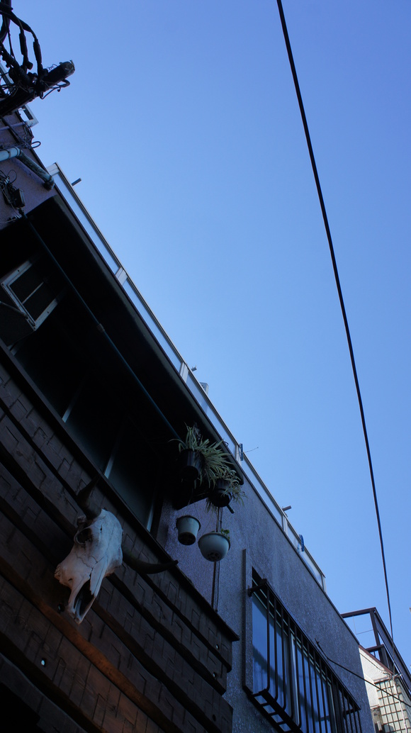 b0221233_16583.jpg
