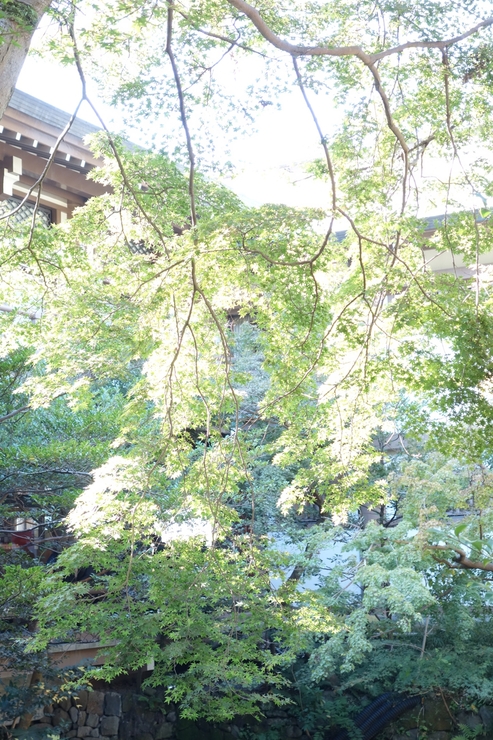 a0287336_1452046.jpg