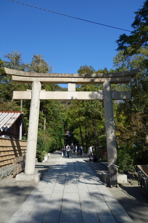 鎌倉再訪その5～鶴岡八幡宮の続き_a0287336_14533491.jpg