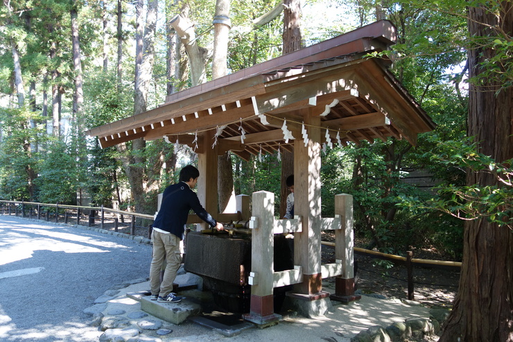 鎌倉再訪その5～鶴岡八幡宮の続き_a0287336_1453451.jpg