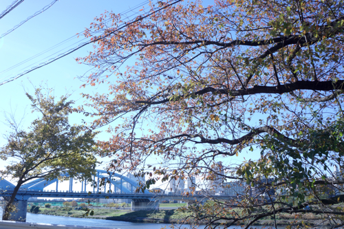 f0035343_13581534.jpg