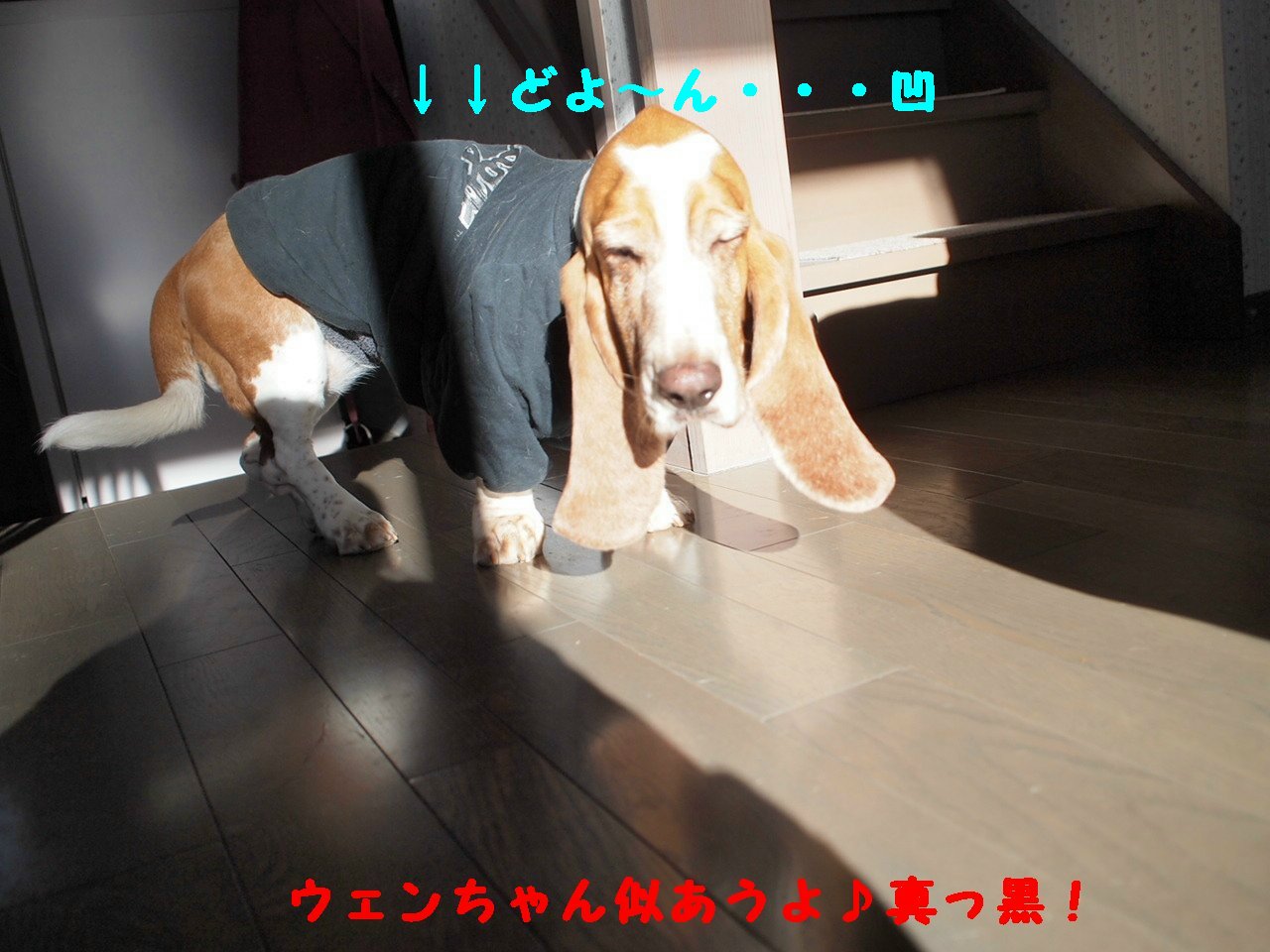 a0299945_92780.jpg