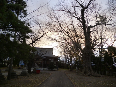 b0238249_1991229.jpg