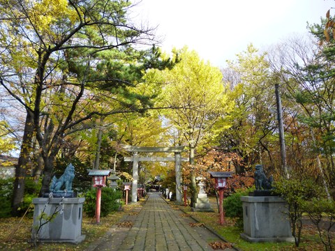 b0238249_20273959.jpg
