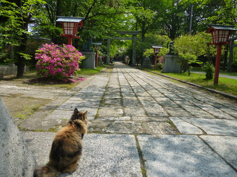 b0238249_20345668.jpg