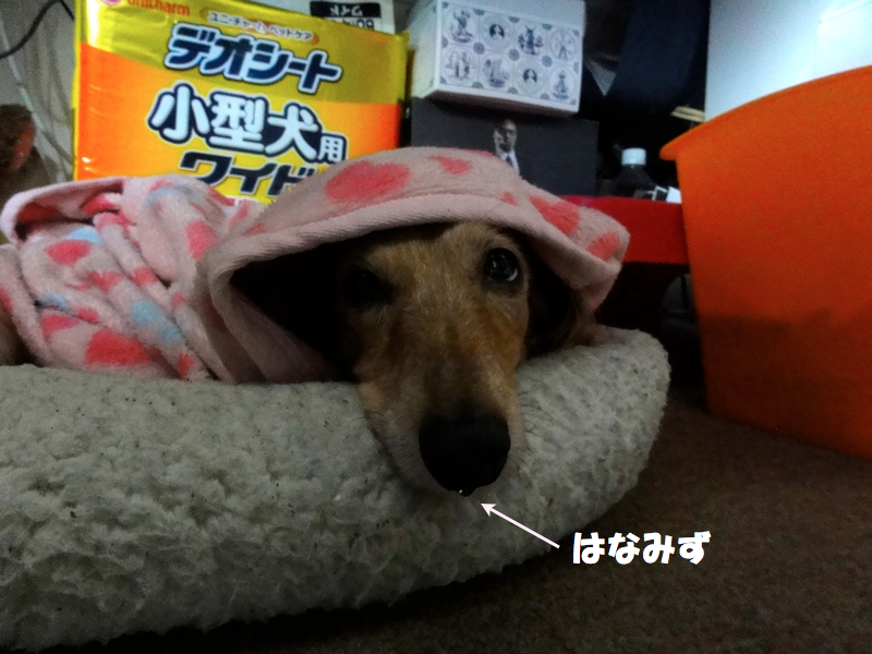 c0121550_1491054.jpg