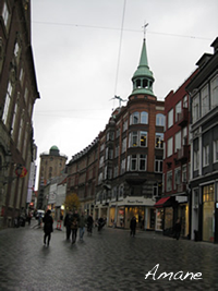 コペンハーゲンの街並_e0262651_19393465.png