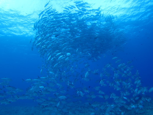 a0122752_16551021.jpg