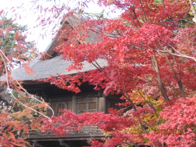 平林寺の写真が好評_b0115553_23185863.jpg