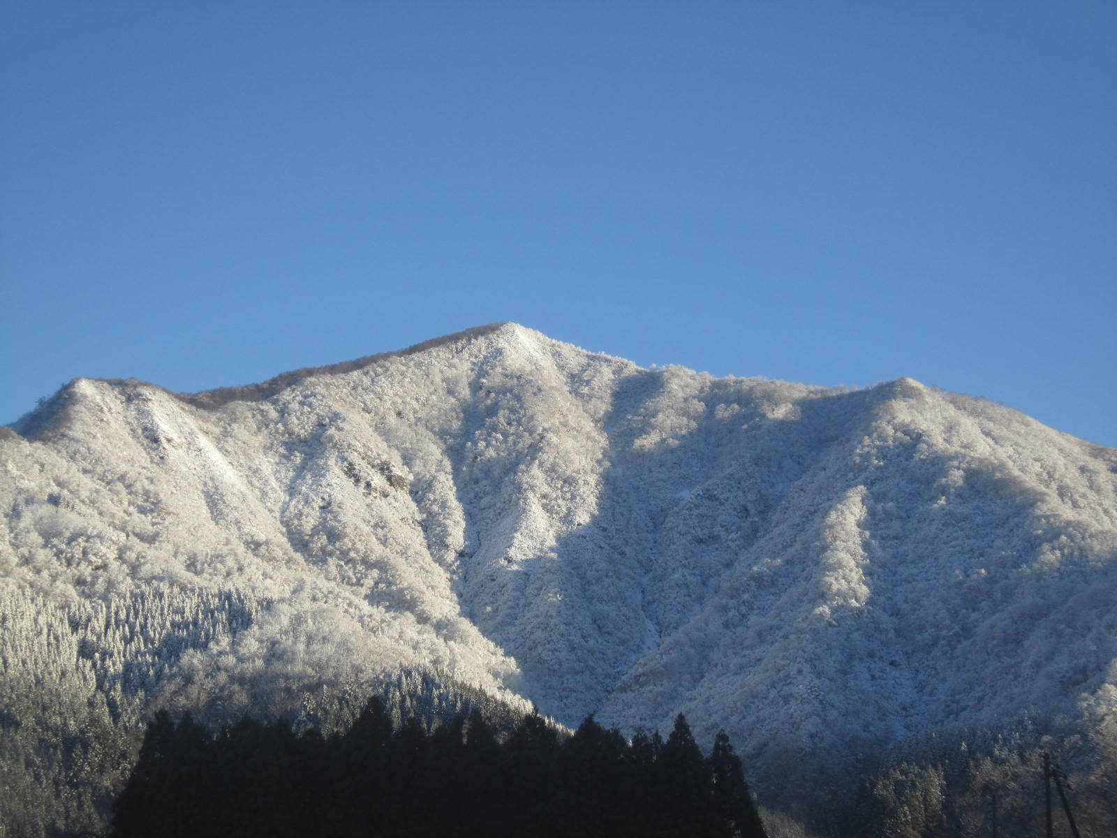 c0253253_83539.jpg