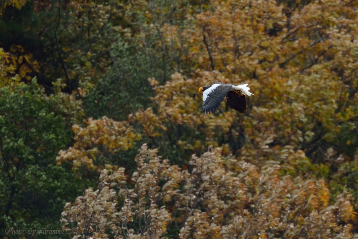 c0124055_1644924.jpg