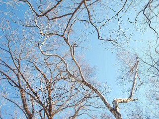 e0004756_21523123.jpg