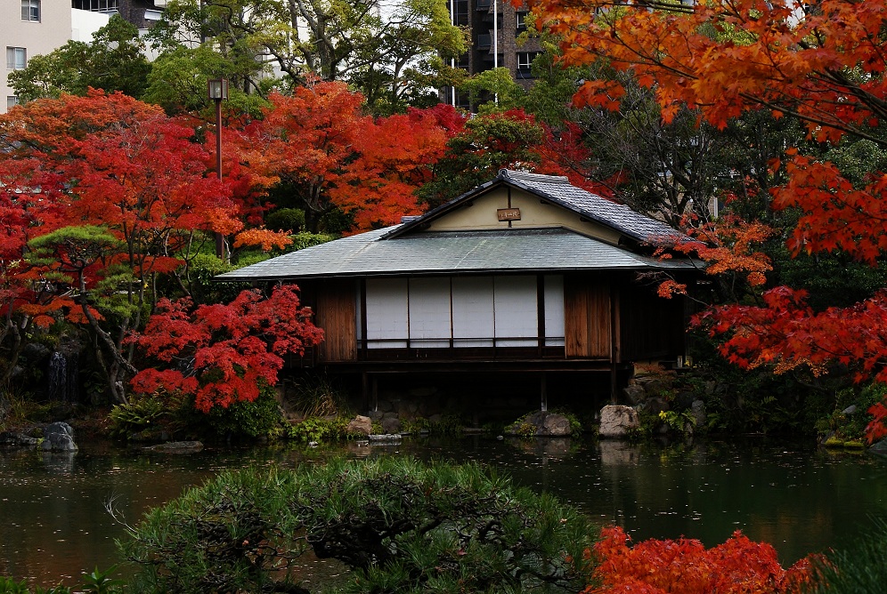 相楽園は神戸の紅葉の隠れスポット_b0063958_20195085.jpg