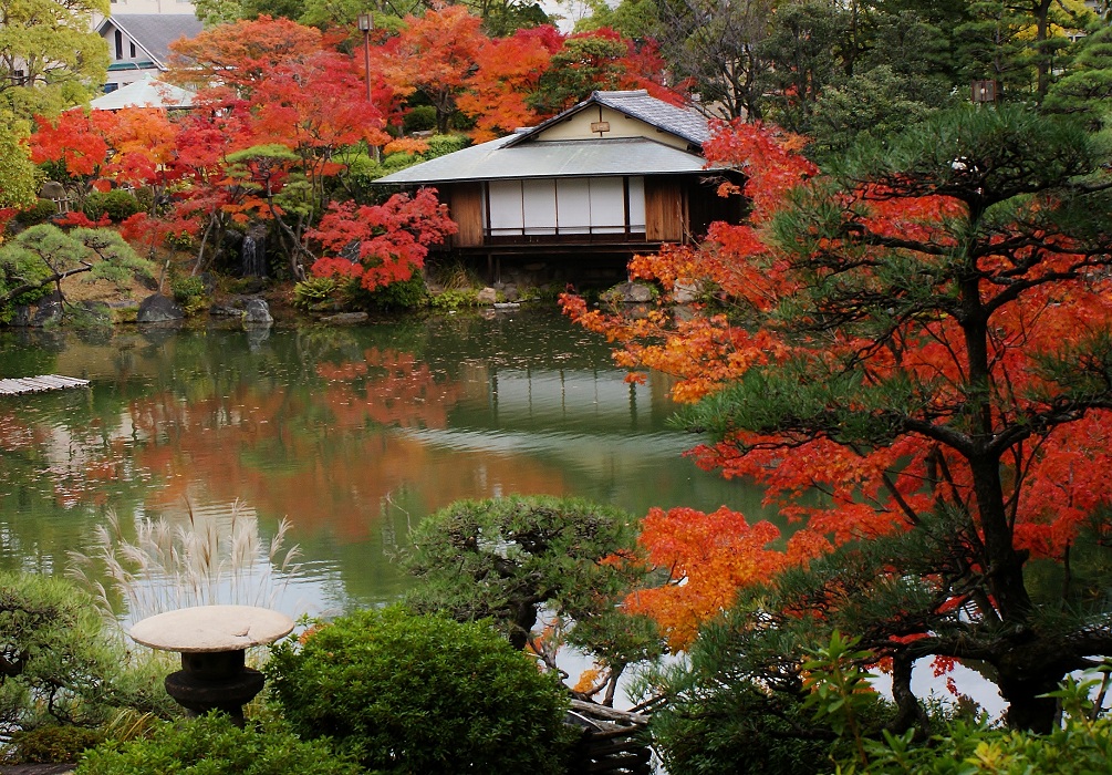 相楽園は神戸の紅葉の隠れスポット_b0063958_20203715.jpg