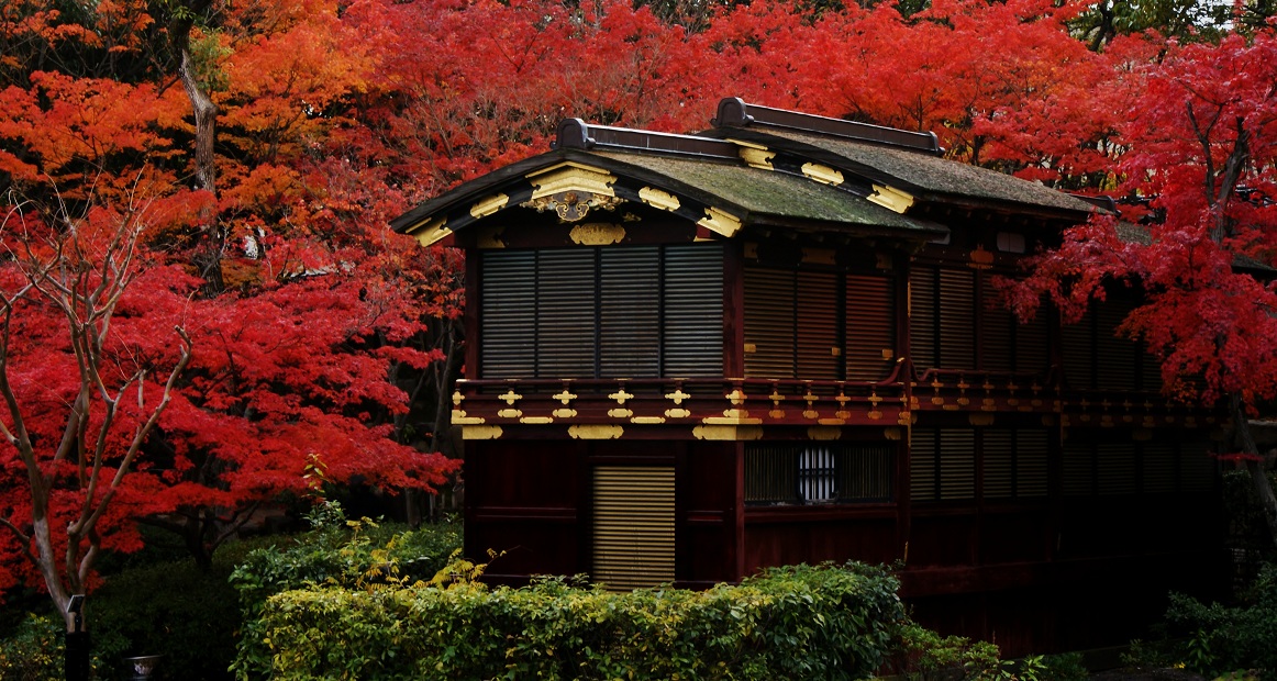 相楽園は神戸の紅葉の隠れスポット たんぶーらんの戯言 相楽園は神戸の紅葉の隠れスポット たんぶーらんの戯言