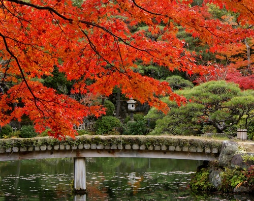 相楽園は神戸の紅葉の隠れスポット_b0063958_20242719.jpg