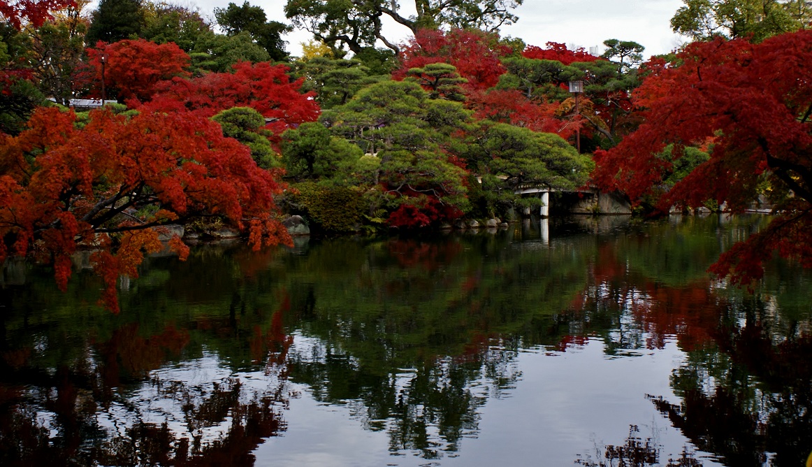 相楽園は神戸の紅葉の隠れスポット たんぶーらんの戯言 相楽園は神戸の紅葉の隠れスポット たんぶーらんの戯言