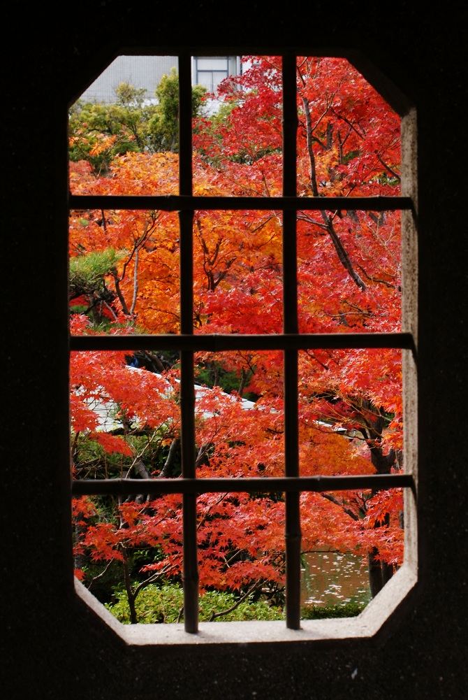 相楽園は神戸の紅葉の隠れスポット_b0063958_20271913.jpg