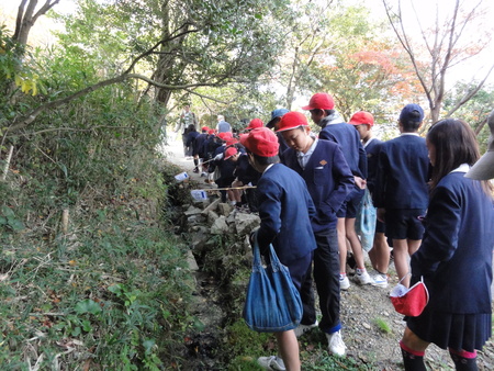 阪南市立下荘小学校5年生校外学習サポート in せんなん里海公園_c0108460_20383117.jpg