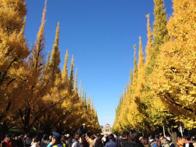 銀杏並木☆秋祭り_c0151965_201493.jpg