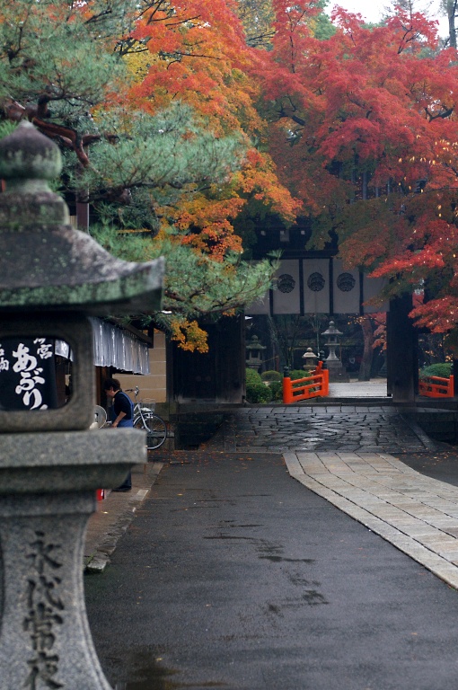 京都アッシー君で雨の大徳寺など　20121126_a0050572_23361333.jpg