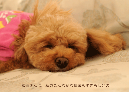 c0196673_8303578.gif