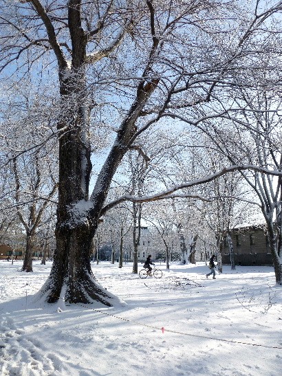 d0084473_2035492.jpg