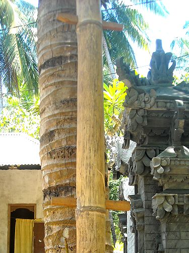 c0226974_1031273.jpg