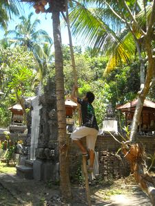 c0226974_10313957.jpg