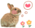 f0145976_1021596.gif