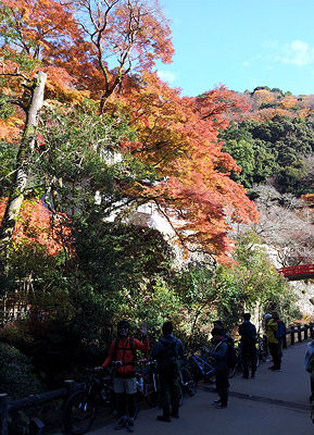 ◇　2012　箕面紅葉ツーリング　◇_c0059778_2332811.jpg