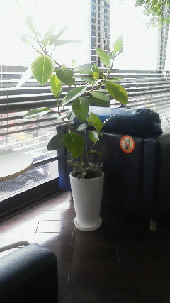 b0001280_18172319.jpg