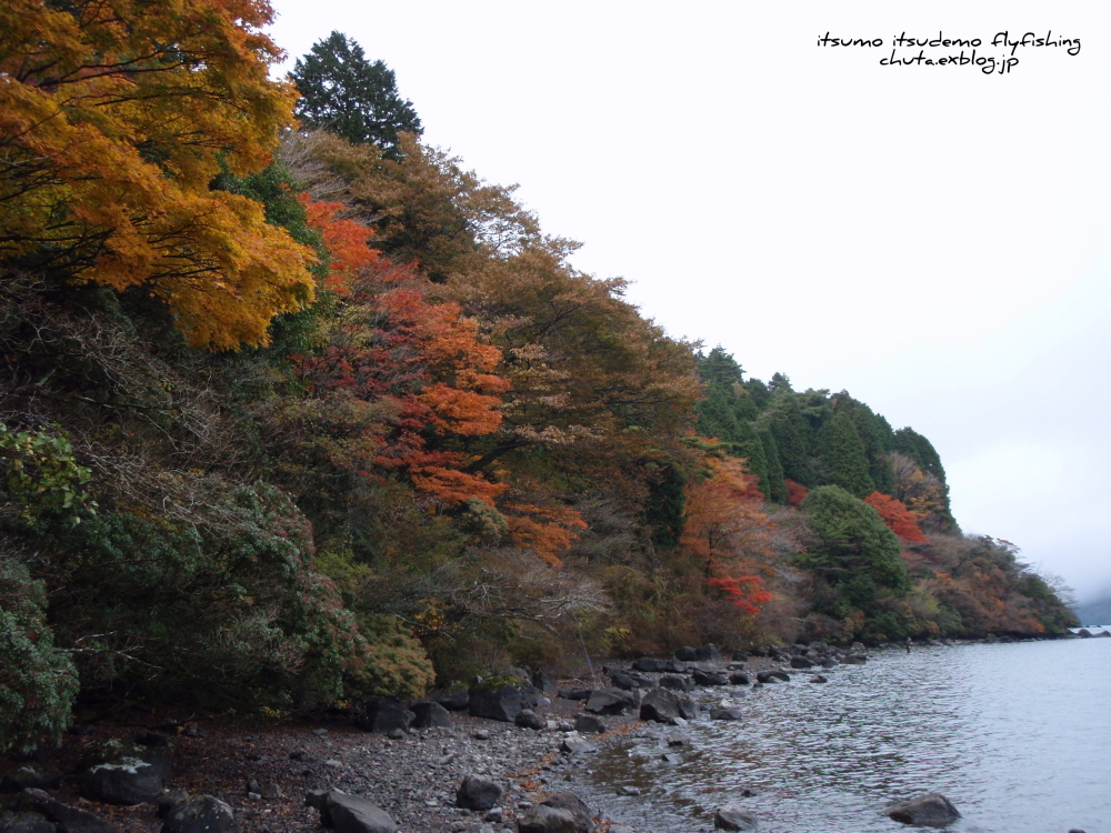 ２０１２年 芦ノ湖 １６＆１７　秋の陣!!_f0199881_2313244.jpg