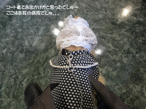 f0218182_1556915.jpg