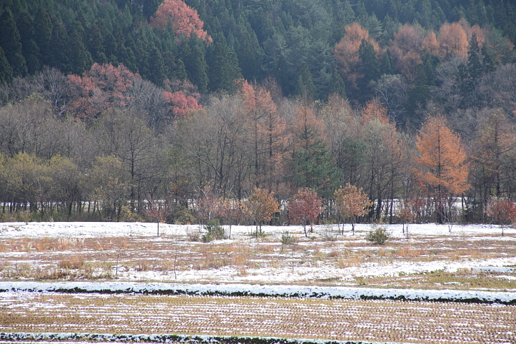 e0165983_13244145.jpg