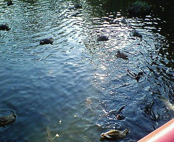 c0014187_23472456.jpg